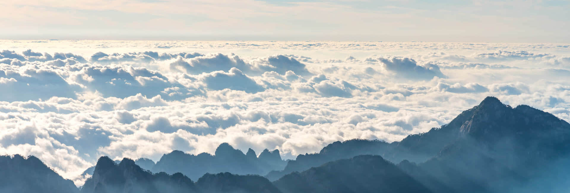 广发（中国）简介